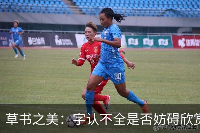 草书之美：字认不全是否妨碍欣赏的深度？
